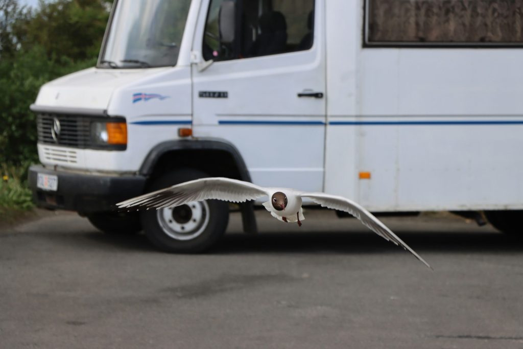 A white bus parked on the side of a road